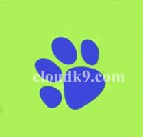 Dog Party Paper Napkins (Small) (16 Napkins)