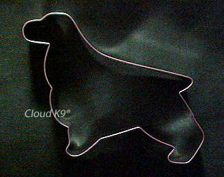 English Springer Spaniel Cookie Cutter